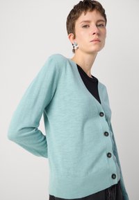 Light teal cardigan with a V-neck, long sleeves, and front buttons. Made from a soft fabric with a smooth texture; casual fit.