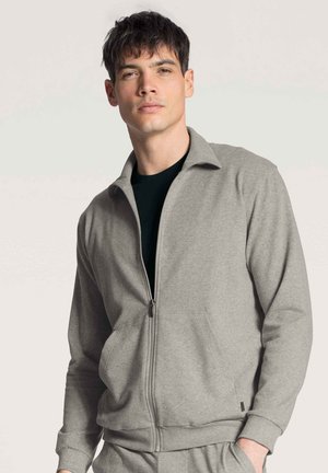 Grijze zip-up jas met een kraag, gemaakt van zachte stof. Heeft zijzakken en geribbelde manchetten. Draagt over een zwart shirt eronder.