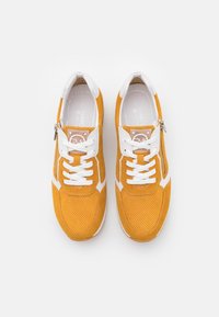 Marco Tozzi BY GUIDO MARIA KRETSCHMER - Sneaker low - saffron comb