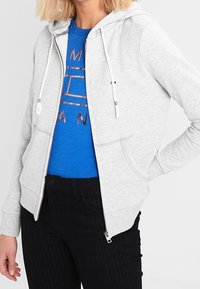 Sudadera con cremallera en un color gris claro, con capucha ajustable y bolsillos laterales. Se lleva sobre una camiseta azul con un diseño impreso, combinada con pantalones negros.