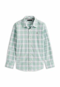 Camicia a righe in verde chiaro, bianco e blu navy. Realizzata in tessuto dalla texture morbida. Presenta un colletto a punta e maniche lunghe.