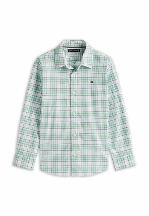 Camicia - aquamarine green check