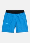 UNISEX - Спортни шорти - ray blue