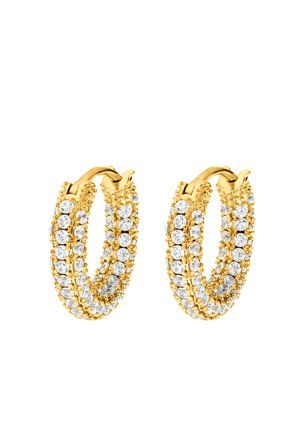 Boucles d'oreilles - goldfarbend