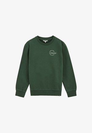 BLUE RIDGE - Športni pulover - green