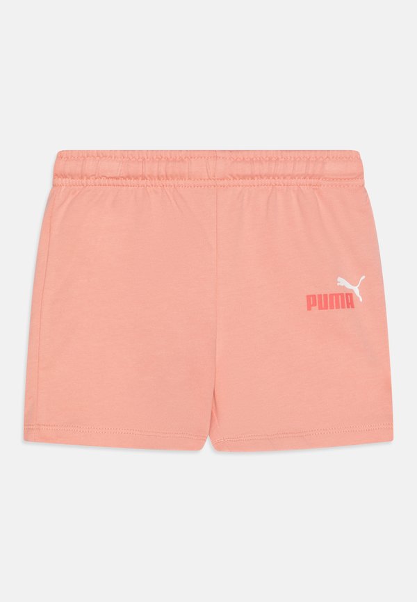 MINICATS TEE AND SET - Shorts - peach frost4
