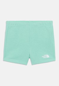 Pantalones cortos de algodón verde menta con una textura suave, cintura elástica y un logotipo blanco en la parte inferior derecha delantera.