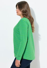 Vihreä pitkähihaisa paita, jossa on siniset vaakaraidat, pyöreä kaula-aukko, sivuhalkiot ja pieni logotunnus vasemmassa hihassa.