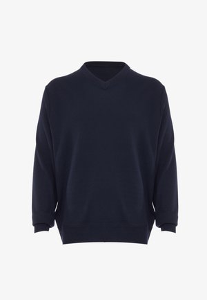 ALEKO, ALEKO PULLOVER - Maglione - marine