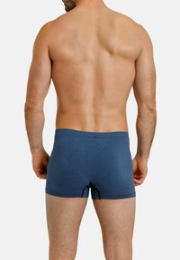 HAASIS Bodywear 1919 OHNE EINGRIFF 2ER PACK - Trunks - navy print