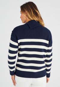 Damart ÉPAULE BOUTONNÉE - Maglione - navy striped