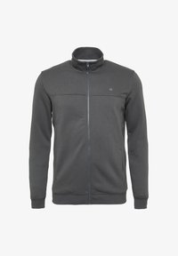 Selezionato, schiefergrau