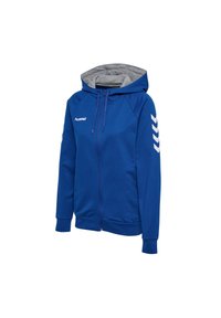 Blauwe hoodie met rits, grijze voering in de capuchon, witte chevronstrepen op de mouwen en het "hummel"-logo op de linkerborst.