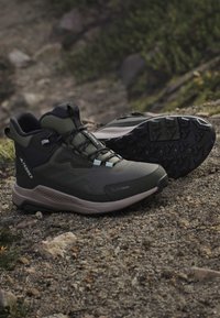 Pair of green and black Adidas Terrex hiking shoes on rocky ground, one showing upper side and the other its tread sole.