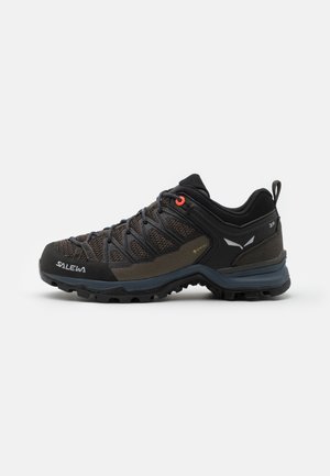 MOUNTAIN TRAINER LITE GORE TEX - Outdoorschoenen - wallnut/fluo coral