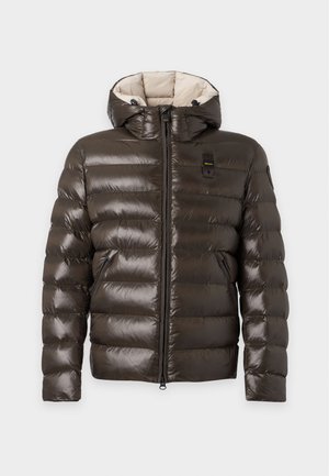 Blauer, ADAMS - Χειμωνιάτικο μπουφάν - dark brown