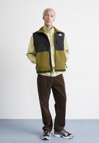 The North Face DENALI VEST - Liemenė - forest olive