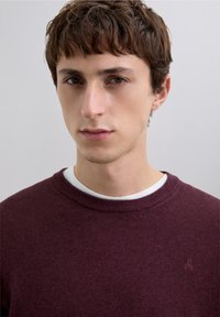 Pulover bordo cu decolteu rotund și manșete cu dungi, purtat peste o cămașă albă, având un mic detaliu brodat pe piept.