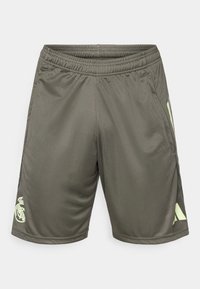 REAL - Equipación de clubes - utility grey