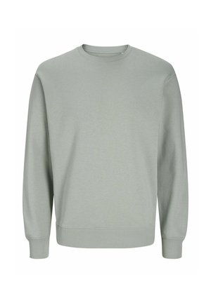 Light gray sweatshirt made from soft fabric, featuring a crew neckline, long sleeves, and ribbed cuffs and hem for comfort.