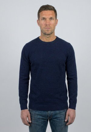 Man met kort bruin haar, gekleed in een marineblauwe trui en blauwe spijkerbroek, staand tegen een effen lichtgrijze achtergrond.