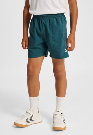 Türkisfarbene Sportshorts mit elastischem Bund, zwei Seitentaschen und einem weißen Chevron-Logo am unteren Saum.