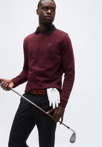 Άνδρας που φοράει μπορντό μακρυμάνικο πόλο, μαύρο παντελόνι, κρατώντας μπαστούνι γκολφ με λευκό γάντι γκολφ τοποθετημένο στη καφέ ζώνη, σε ουδέτερο φόντο.