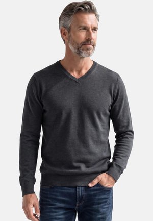 Uomo con capelli e barba grigi che indossa un maglione grigio scuro a scollo a V e jeans blu, che posa con una mano in tasca.