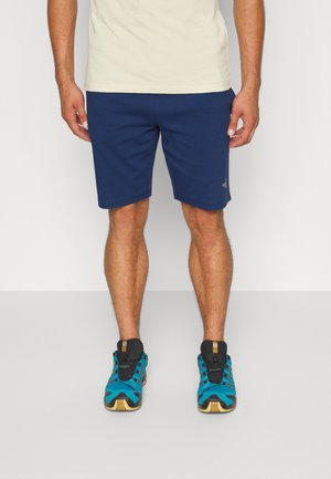 GRAPHIC SHORT LIGHT - Pantaloncini sportivi - shady blue