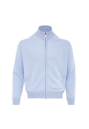 Light blue zip-up sweater with high collar and ribbed cuffs and hem, displayed on a plain white background.