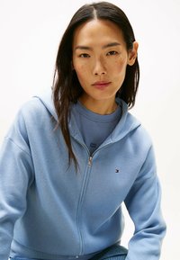 Helleblaue Zip-Hoodie aus weichem Stoff mit einer Vordertasche und einem kleinen Logo auf der linken Brust. Lange Ärmeln und einer verstellbaren Kapuze.