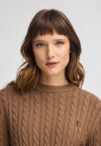Suéter marrón de punto trenzado con un cuello acanalado y un pequeño logotipo. Textura suave con patrones en espiral prominentes.