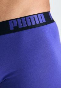 Puma MEN EVERYDAY 6 PACK - Boxerbriefs - teal/purple/black