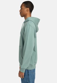 Light green hooded sweatshirt with a kangaroo pocket, ribbed cuffs, and a relaxed fit, shown worn by a person from the side.