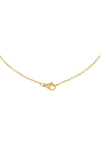 Goldkette mit einem feinen Gliederdesign und einem Karabinerverschluss. Glatte Textur mit glänzender Oberfläche.