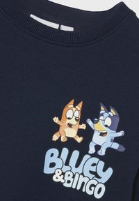 Marineblå hettegenser med tegneseriehundene Bluey og Bingo i livlige farger, med hvit skrift "BLUEY & BINGO" under designet.