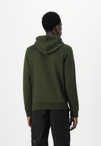 Green hoodie with a soft texture, a kangaroo pocket, and ribbed cuffs. The hood is attached, and it features a relaxed fit.
