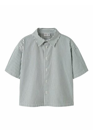 Camisa de manga corta abotonada con rayas verticales verdes y blancas y un cuello clásico.