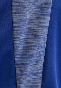 adidas Performance Shorts - blue