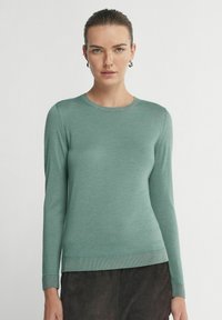 Hellgrüner Langarmpullover mit rundem Halsauschnitt und gerippten Bündchen. Glatte Textur, taillierte Passform, mit einem einfachen, sauberen Abschluss.