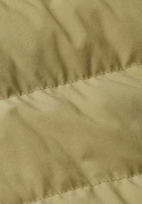 Non selezionato, green