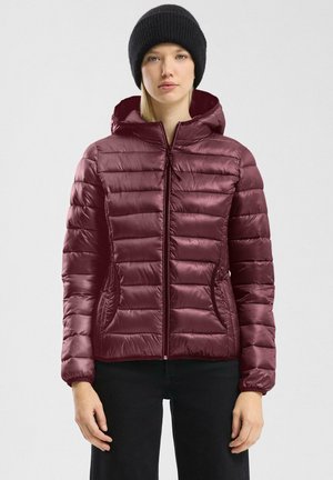 Winter jacket - bordeaux
