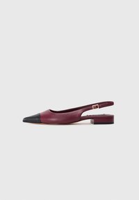 Scarpa flat slingback a punta in pelle bordeaux con punta nera e piccolo tacco a blocco, caratterizzata da una cinturino con fibbia dorata.