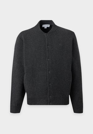 Lacoste, Giubbotto Bomber - lightning chine