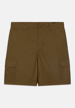 Dickies, KIDS UNISEX - Shorts - dark olive