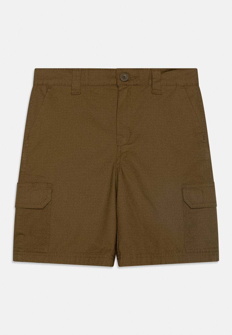 Dickies Cargobroek donkergroen