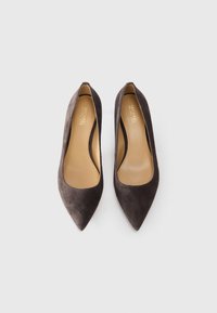Pár tmavohnedých semišových balerín s špičatou špičkou pre ženy s béžovými vložkami na bielom pozadí.