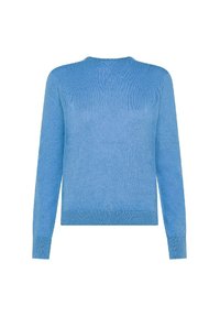 Maglione azzurro chiaro realizzato in morbido tessuto a maglia, con scollo rotondo e maniche lunghe con polsini e orlo a coste. Finitura testurizzata sulla superficie.