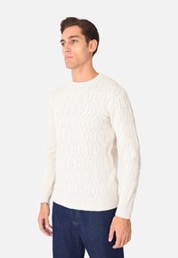 Maglione lavorato a maglia di colore bianco sporco con un motivo testurizzato a nido d'ape, scollo rotondo, maniche lunghe e polsini e orlo a costine. Indossato con jeans blu.