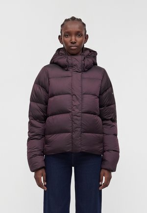 Joven con trenzas que lleva una chaqueta acolchada de color púrpura oscuro con cuello alto y capucha, combinada con pantalones azul oscuro, de pie erguido.